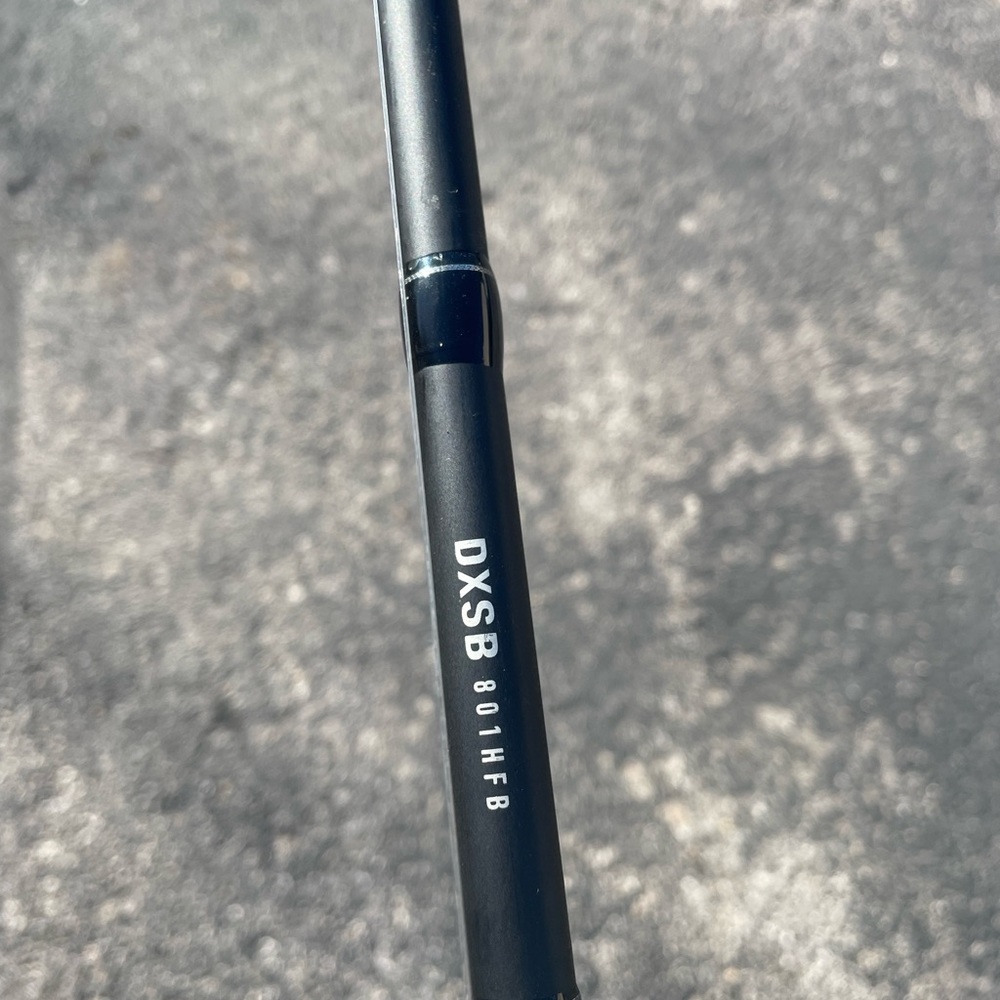 Daiwa DX Swimbait Casting Rod 8ft Hvy/fast